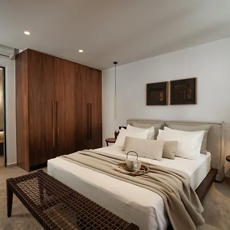 Anora Naxos Aparthotel Naxos City