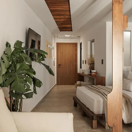 Anora Naxos 3*